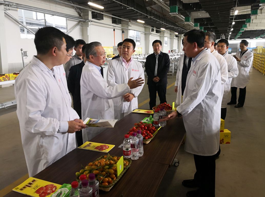 币游·国际(中国)官方网站