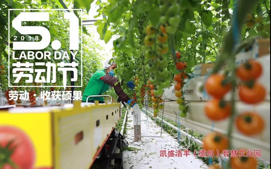 币游·国际(中国)官方网站