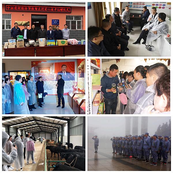 币游·国际(中国)官方网站