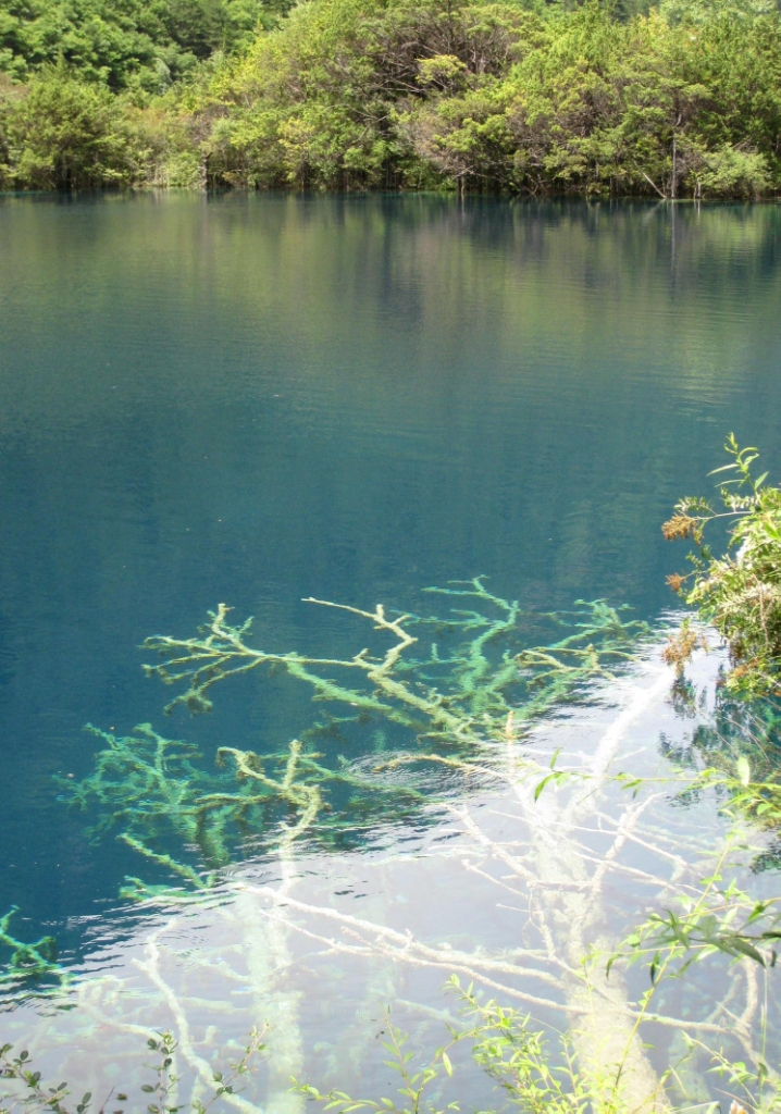 币游·国际(中国)官方网站