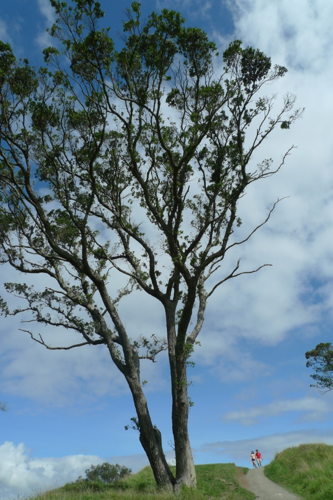 币游·国际(中国)官方网站