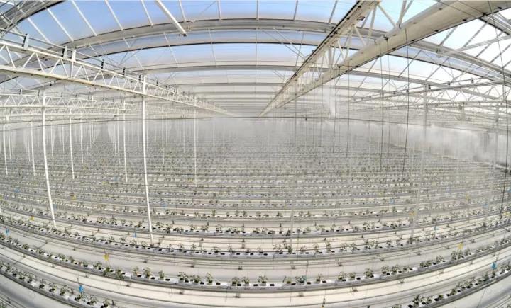 币游·国际(中国)官方网站