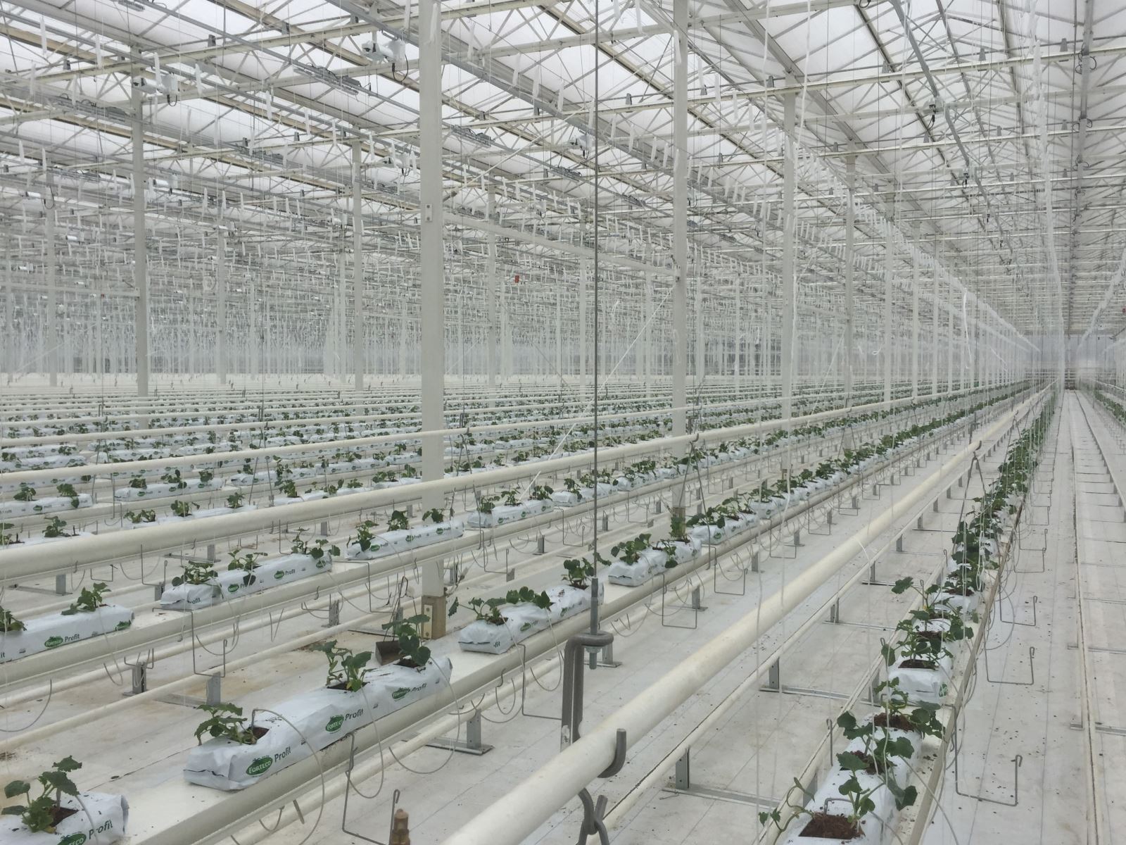 币游·国际(中国)官方网站