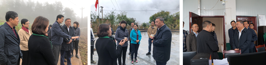 币游·国际(中国)官方网站